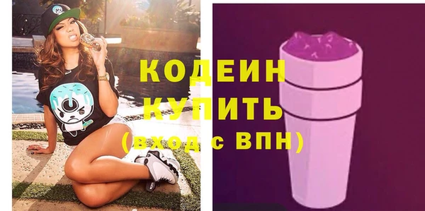 spice Каменка