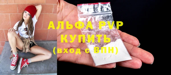 spice Каменка