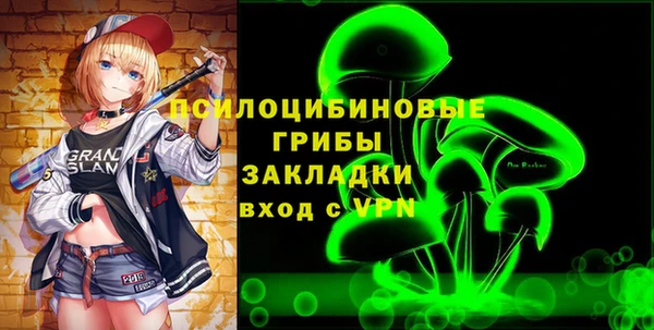 spice Каменка