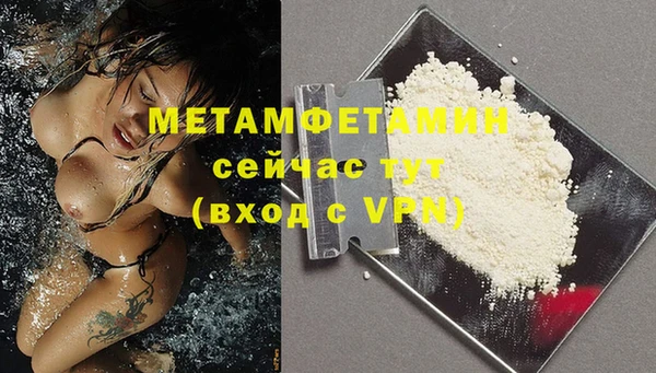 PSILOCYBIN Каменногорск