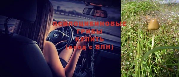 PSILOCYBIN Каменногорск