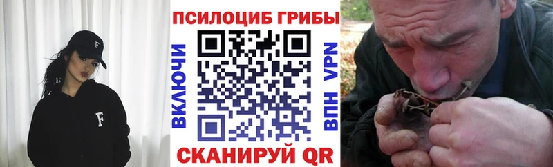 Псилоцибиновые грибы мицелий  Купить закладки  Новоульяновск 
